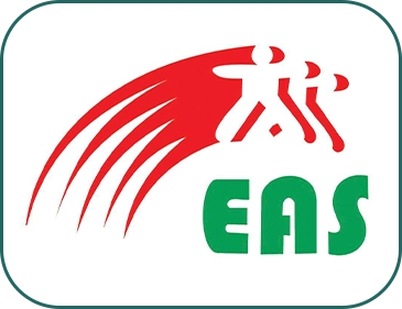 المدرسة المصرية الامريكية للغات