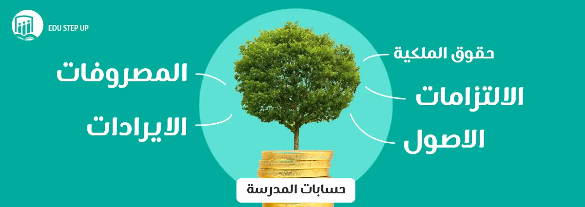 شجرة حسابات مدرسة انترناشونال فى نظام Edu Step Up