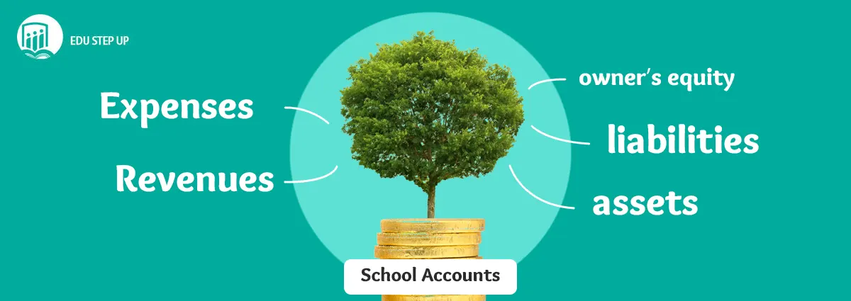 chart of accounts for International School in the Edu Step Up system